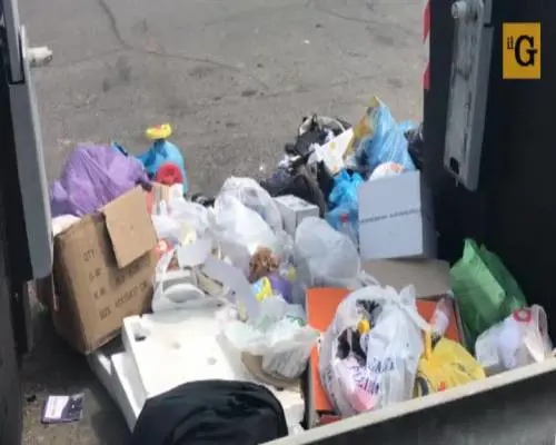 Caos rifiuti a Roma: "Ormai diamo fuoco ai topi con la benzina"