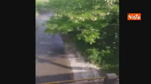 Treno si blocca alle porte di Milano, i passeggeri esasperati scendono sui binari