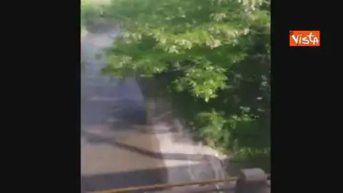 Treno si blocca alle porte di Milano, i passeggeri esasperati scendono sui binari