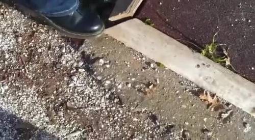 Raggi denunciava il degrado, ma dopo due anni da sindaco il parco è chiuso