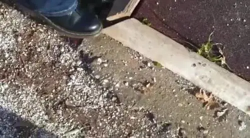 Raggi denunciava il degrado, ma dopo due anni da sindaco il parco è chiuso