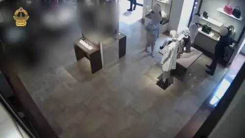 Il ladro di capi d'alta moda