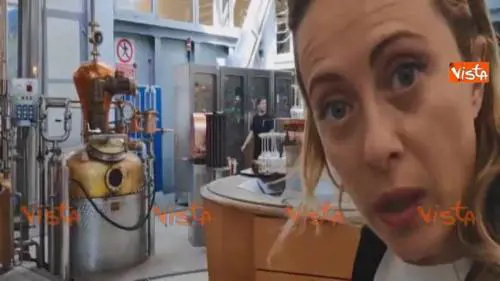 Appello della Meloni dalla distilleria: "Juncker, ti offro una grappa se..."