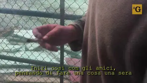 Mestre, nel parco dei tossicodipendenti