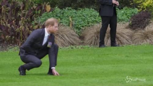 Meghan e Harry: saluto 'intimo' con gli anziani Maori