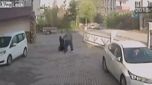 Turchia, madre e figlia azzannate da un pitbull