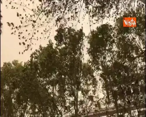 Maltempo a Roma, raffiche di vento in via Veneto 