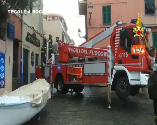 Maltempo in Liguria, alberi caduti e raffiche di vento superiori a 150 km all’ora 