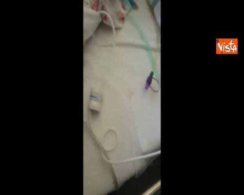 Paziente intubata sommersa di formiche all’ospedale San Giovanni Bosco di Napoli