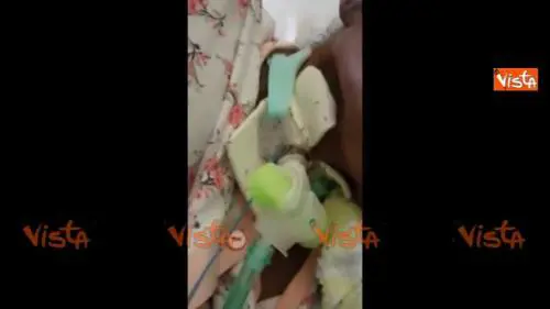 Paziente intubata sommersa di formiche