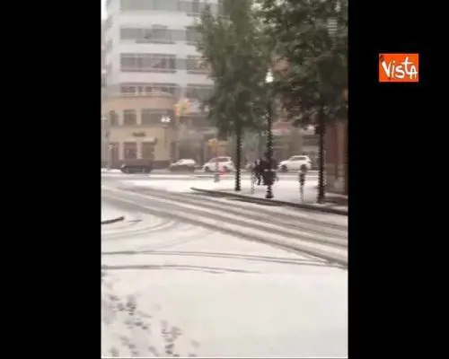 Maltempo in Usa, Washington imbiancata dalla neve 