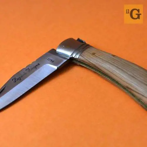 Straniero ubriaco molesta passanti per le strade di Parma