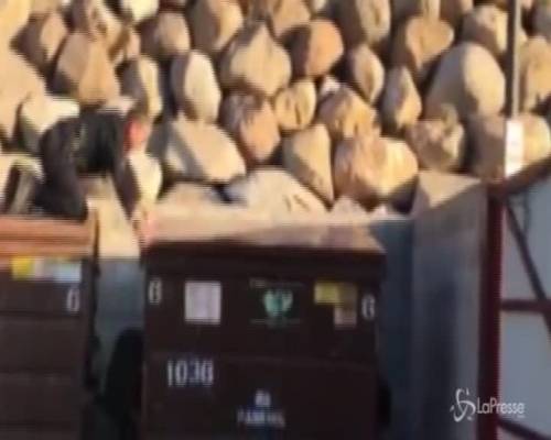 Orsacchiotto intrappolato in un cassonetto dei rifiuti, la polizia lo libera