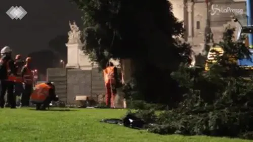 Roma, è arrivato l'albero di Natale in Piazza Venezia