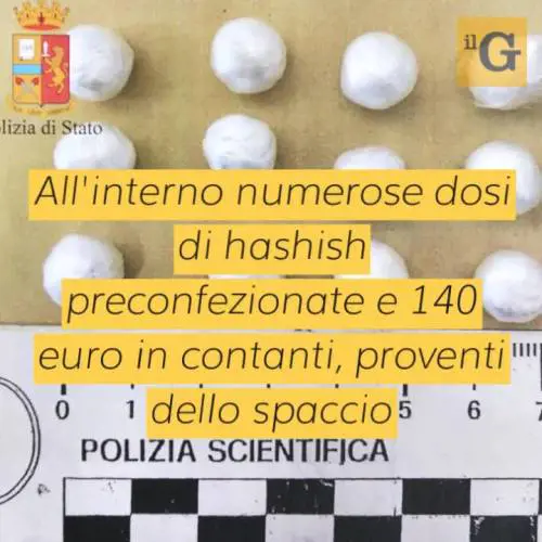 Piacenza, arrestato 2 volte in 4 giorni: a processo pusher straniero