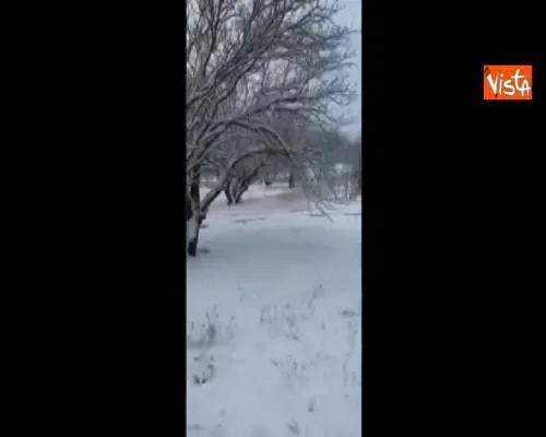 Nevica sul deserto in Arizona, cactus e sabbia si colorano di bianco