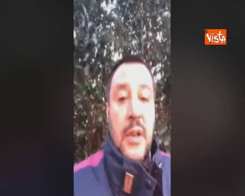 Salvini: "Sindaci si preoccupino di tappare le buche, a Roma i gabbiani sembrano pterodattili"