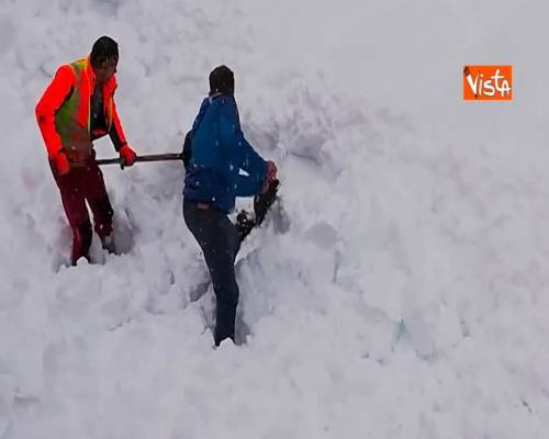 Due macchinisti in Austria fermano il treno per salvare un animale sepolto dalla neve