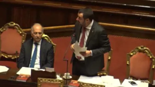 Sbarchi, Salvini: "Sono scesi da 300mila a 23mila"