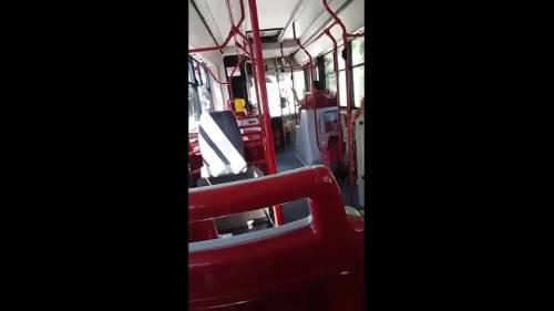 Insulti e bestemmie sul bus a Padova: autista nei guai