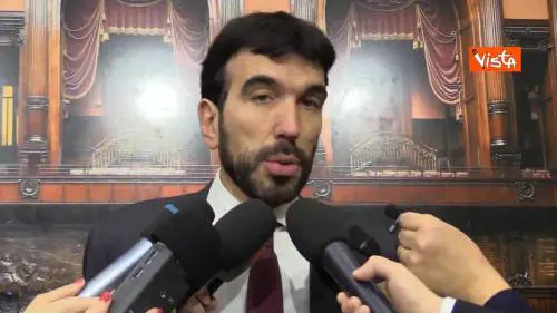 Governo, Martina: “Continuano a fare propaganda sulla pelle degli italiani”