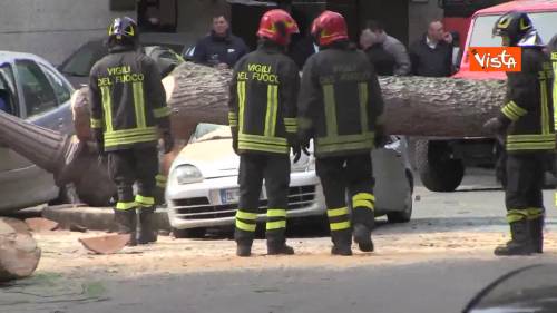 Maltempo, paura in centro a Roma crolla un albero in Viale Mazzini, 2 feriti gravi