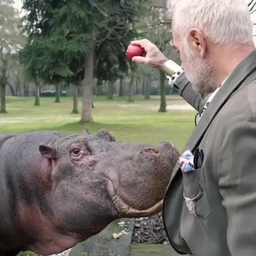 Gianluca Vacchi e l'ippopotamo in giardino