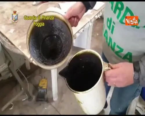 Falso olio extravergine per il Nord, sequestrata fabbrica abusiva nel Foggiano