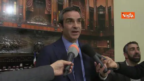 Decretone, Occhiuto (FI): “Stanno creando disoccupati mantenuti dallo Stato”