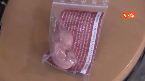 Ecco il ‘Feto di plastica’, polemica per il gadget distribuito al Congresso delle famiglie