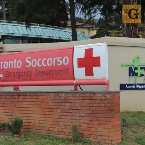 Firenze, arrestata per maltrattamenti: aggredisce compagno e figli