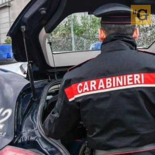 Modena, 36enne accoltellata dal fratello lotta fra la vita e la morte