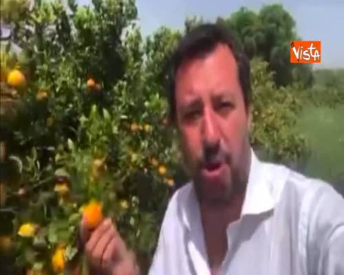 Salvini in Sicilia tra gli aranceti: “Votate Lega per difendere in Europa frutti della nostra terra”