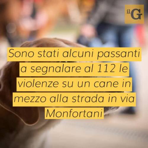 Roma, bosniaco ruba e picchia un cane, poi attacca militari: fermato