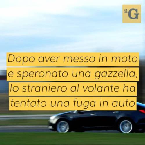 Venezia, vana fuga in auto dopo speronamento: presi pusher magrebini