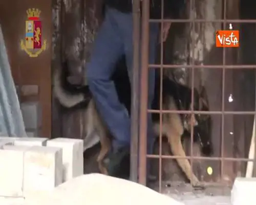 Operazione antidroga della polizia a Palermo, 19 arresti e sequestri di esercizi commerciali