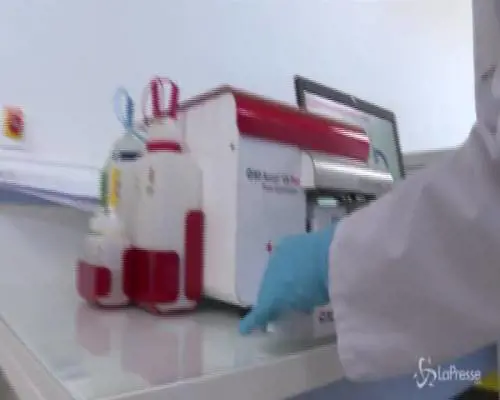 Operazione "Re Mida": 18 arresti e 100kg di cocaina sequestrati