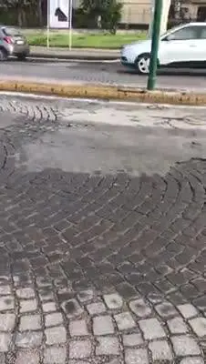 Napoli, ruba cassonetto e lo porta via con lo scooter