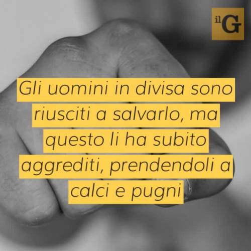 Foggia, tunisino semina il caos in questura