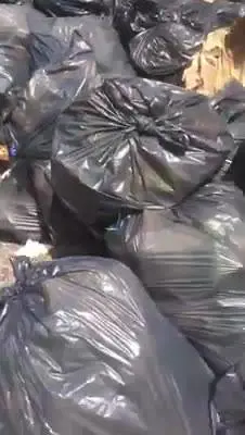 Roma, il cibo per i migranti gettato nell'immondizia
