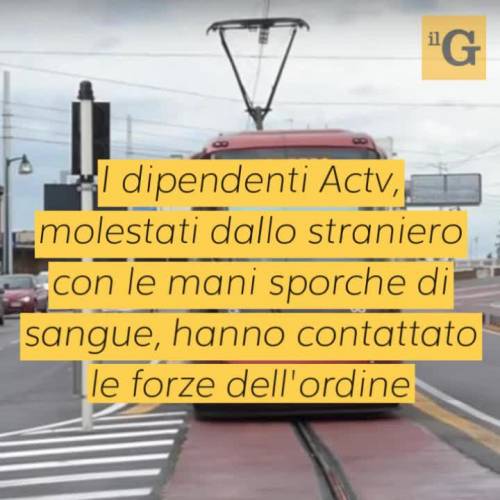 Venezia, tunisino pregiudicato picchia agenti, ma torna subito libero