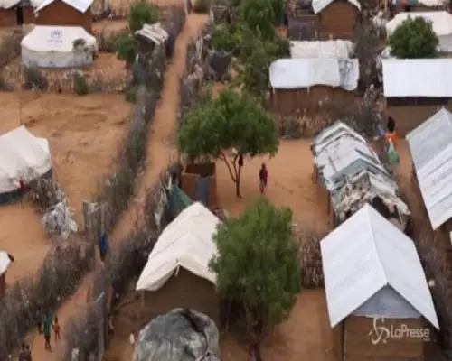 Oggi è la Giornata mondiale del rifugiato