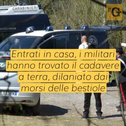 Torino, 80enne trovato morto in casa: il corpo divorato dai suoi cani