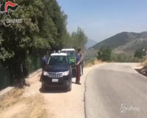 Uccisa e data in pasto ai maiali, si riapre il caso dopo 20 anni