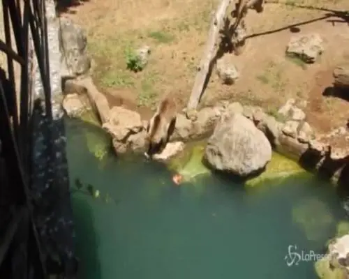 Roma, arriva il caldo: frutta fresca per gli animali del bioparco