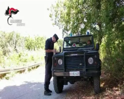 Inquinamento, sequestrate tre aziende bufaline nel Casertano