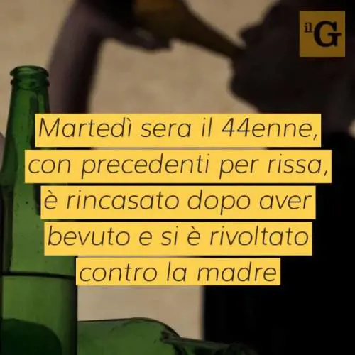 Aggredisce la madre, poi si scaglia contro gli agenti