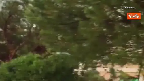 La spiaggia di Numana devastata dal maltempo