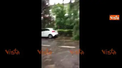 Maltempo, alberi sradicati e auto distrutte