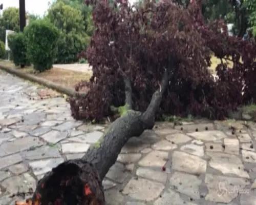 Tornado e grandinate, la Grecia devastata dal maltempo